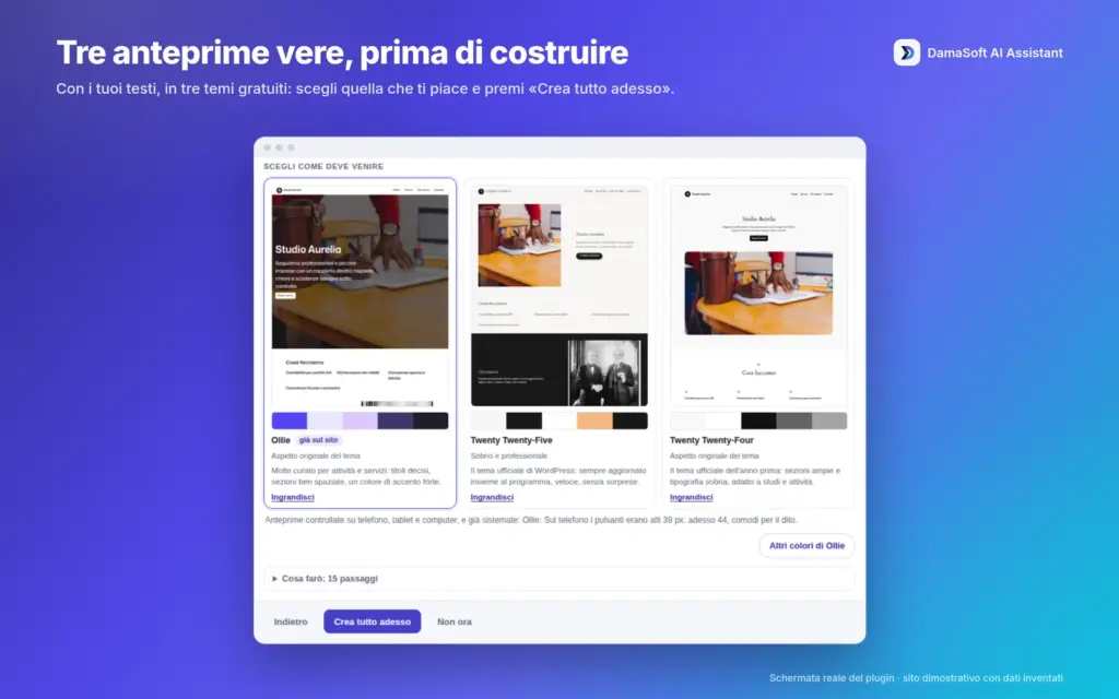 Tre proposte della Home Studio Aurelia con temi differenti. Demo originale 1.6.1 con dati inventati.