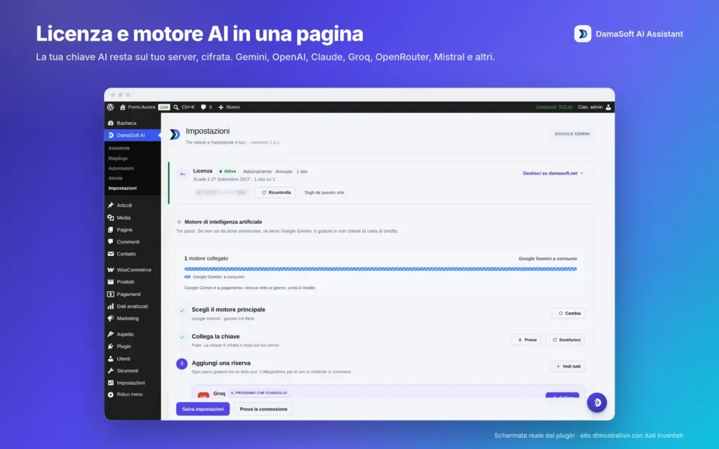 Licenza annuale dimostrativa e configurazione del motore, con chiave oscurata. Demo originale 1.6.1 con dati inventati.